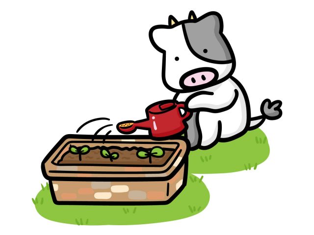 ガーデニング画像